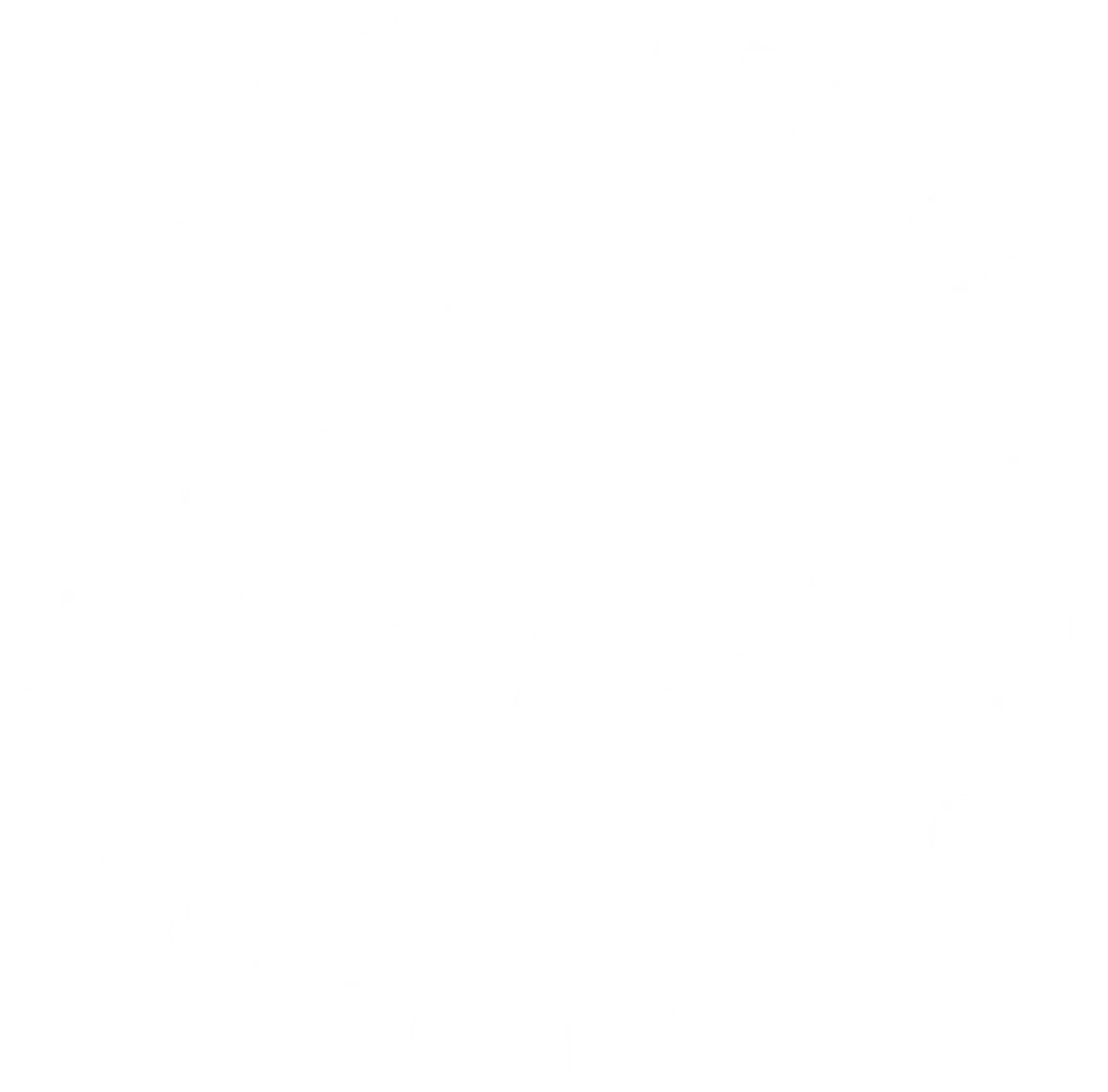 servicio de transporte aeropuerto | Destino Premium